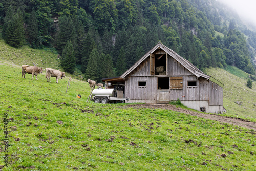 mountain barn seealpsee, barn with open window in the attic, visible hay bales, in front of the house milk trailer and cows on the green pasture, in the daytime
