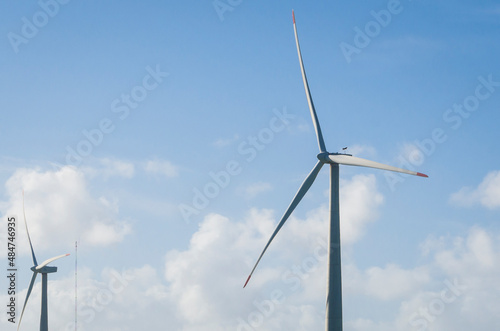 Windmills during bright summer day with blue sky, clean and renewable energy concept. © Thiago Santos