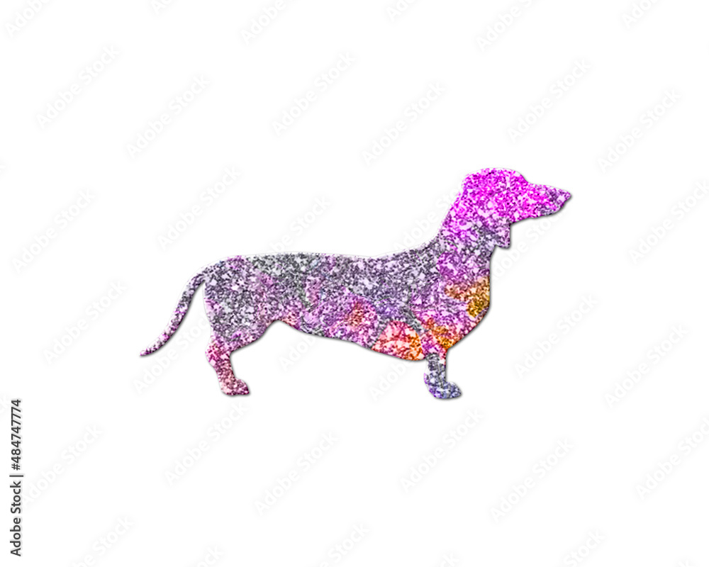 Dog Dachshund Pet Pink Colorful Glitters Icon Logo Symbol illustration
