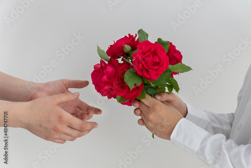close up image of boy's hands giving red roses to girl on valentines day, love concept