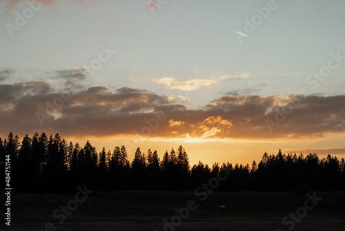 Silhouettes of trees and sunset at Sumava national park © Kristyna_Mladkova