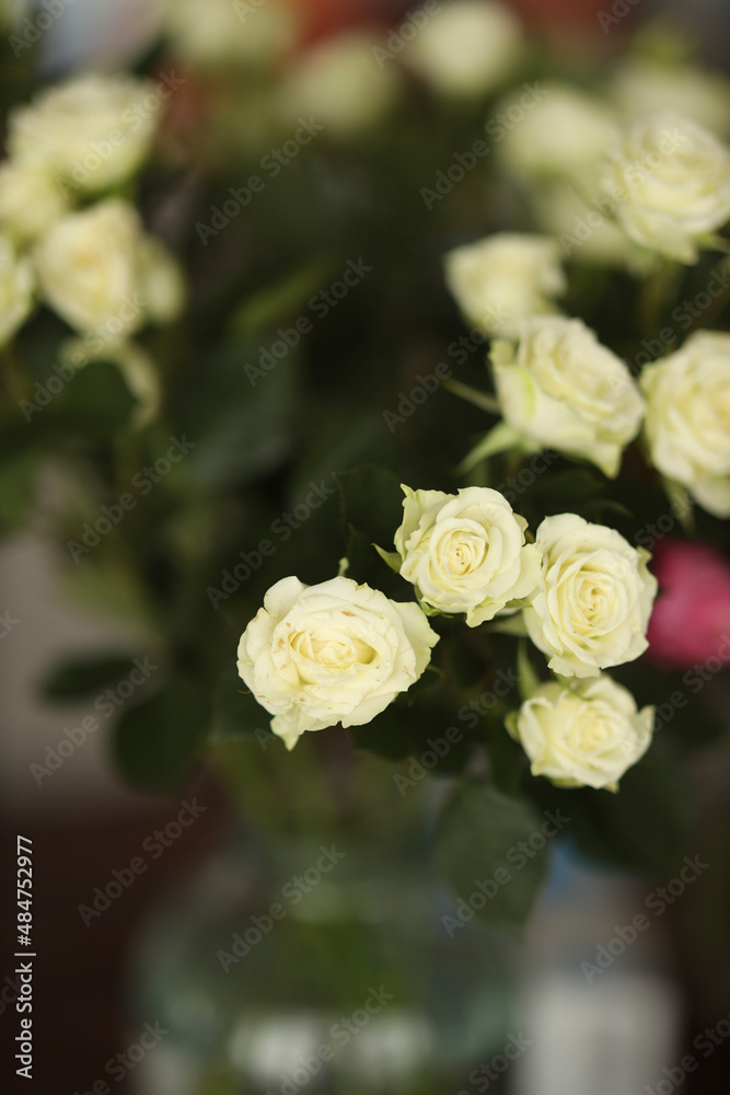 bouquet of roses