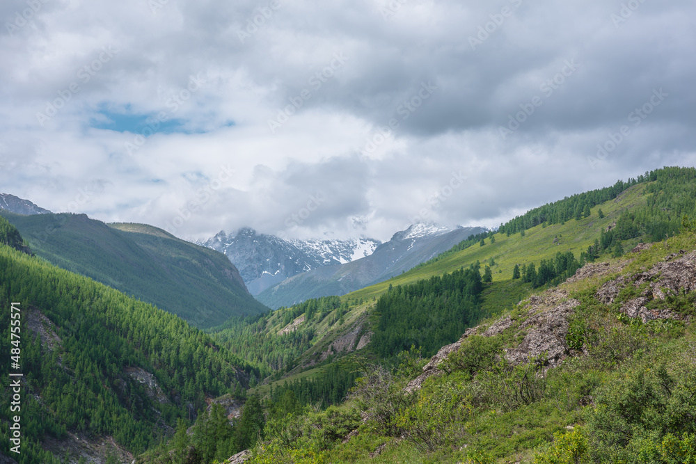 Atmospheric green landscape with sunlit forest hills and high snow mountains ​in low clouds. Beautiful mountain valley in sunlight and large snow mountain range under cloudy sky in changeable weather.