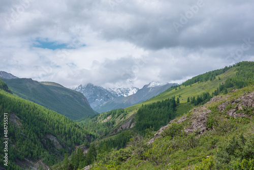 Atmospheric green landscape with sunlit forest hills and high snow mountains ​in low clouds. Beautiful mountain valley in sunlight and large snow mountain range under cloudy sky in changeable weather.