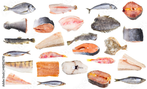 set of various frozen fishes and steaks isolated