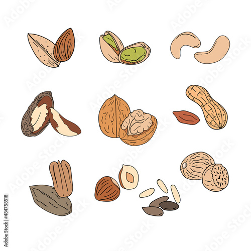 Set of hand drawn nuts