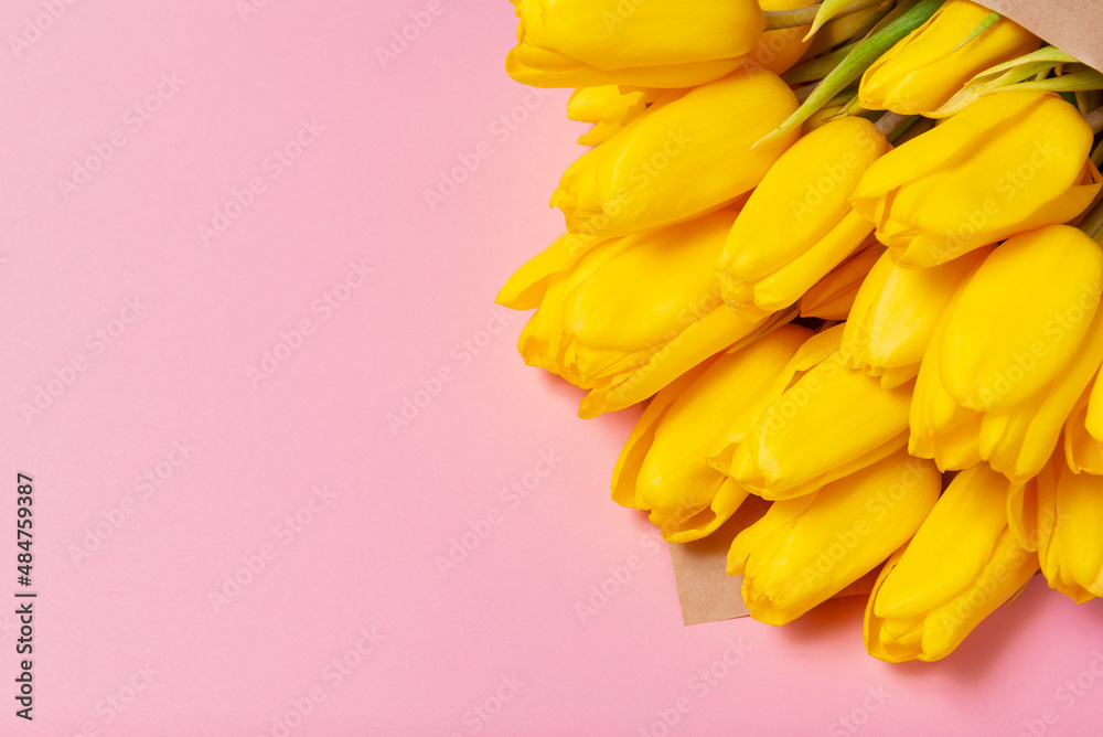 Yellow tulips on pink background angled Yellow tulips on pink background angled