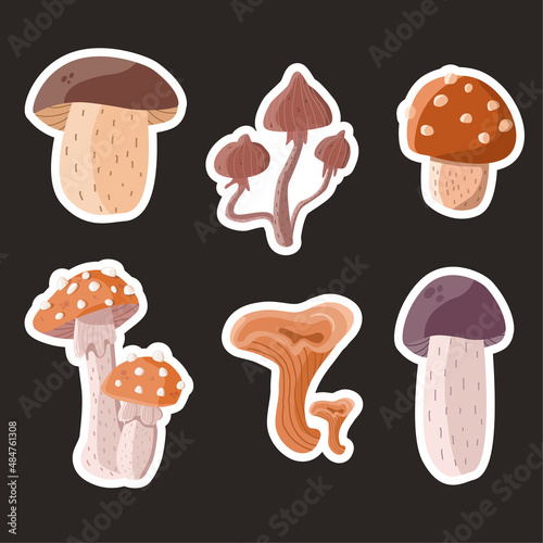 A set of wild forest mushrooms stickers chanterelle, amanita, psilocybe on dark background photo