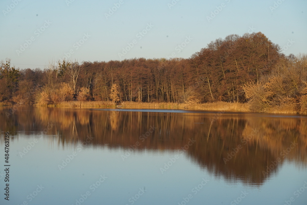 Obraz premium autumn trees reflected in water