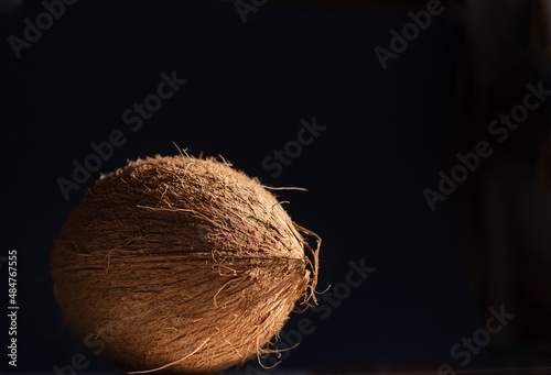 Single coconut fruit close up against black background with copy space.Exotic fruit coconut close up. Minimal summer concept. Tropical fruit composition.