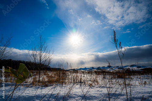 舞い散る雪と太陽