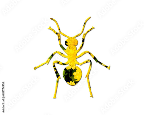 Ant insect Sunflowers Icon Logo Symbol illustration