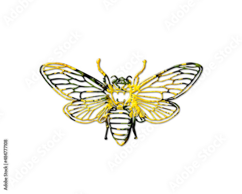 Beekeeper Honey bee Sunflowers Icon Logo Symbol illustration