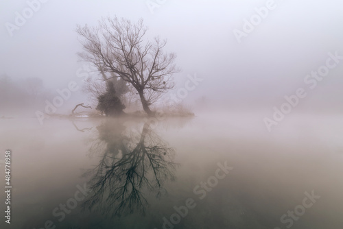 river in the fog