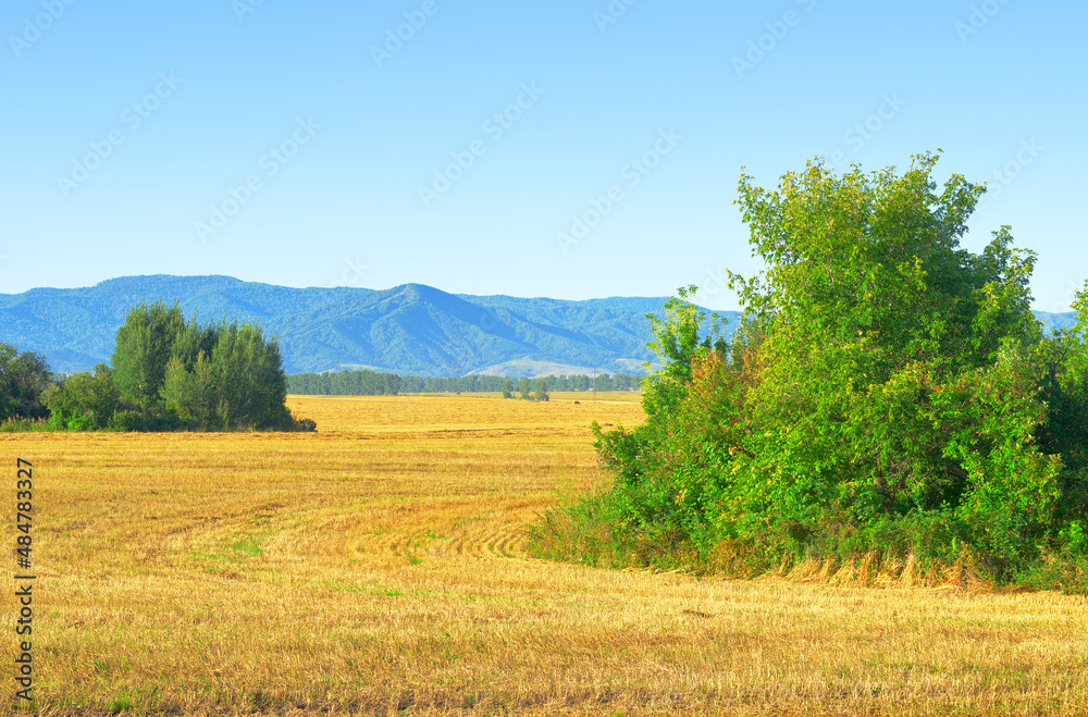 Foothills of the Altai Mountains Foothills of the Altai Mountains
