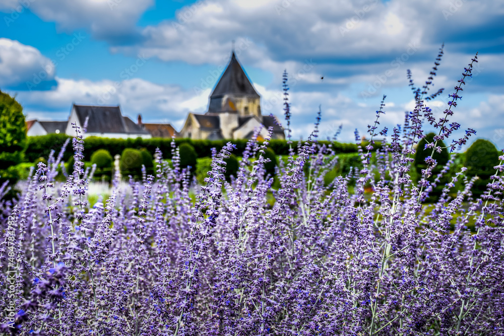 French Castle behind lavender field on a summer sunny day 