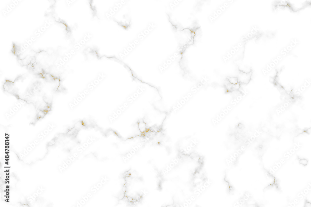 Gold mineral little sea hrose line and white granite marble luxury interior texture
