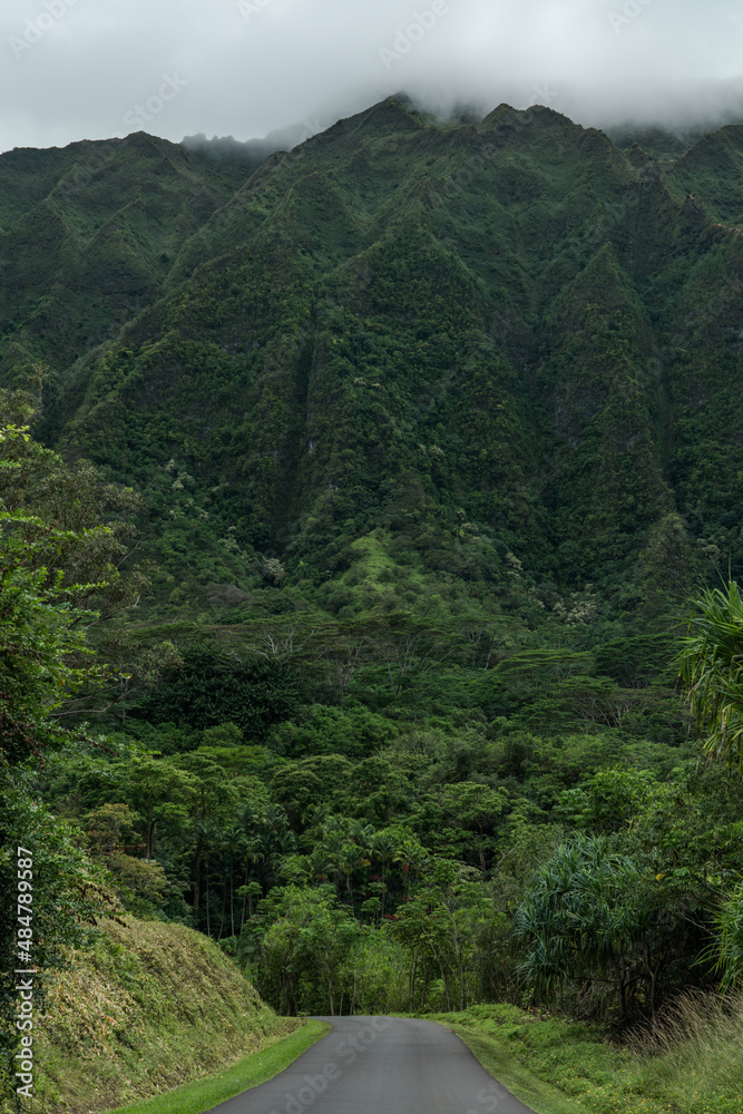 Ho’omaluhia Botanical Garden, Koolau Range, Oahu Hawaii