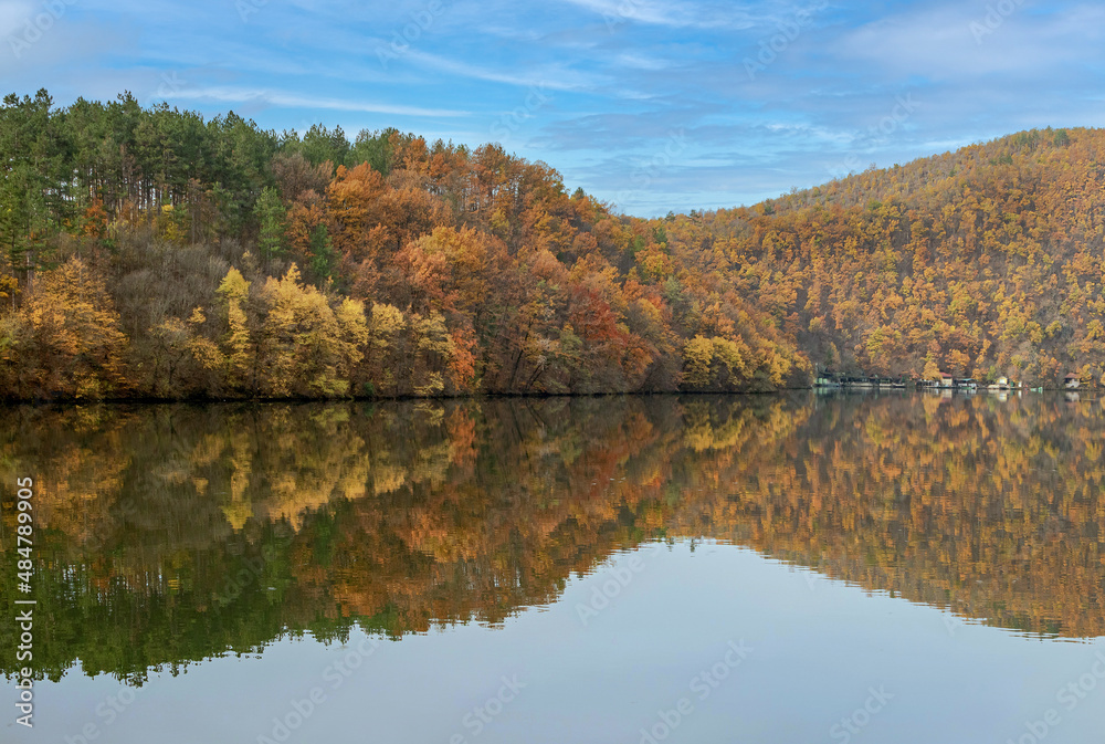 Lake coast with forest reflection