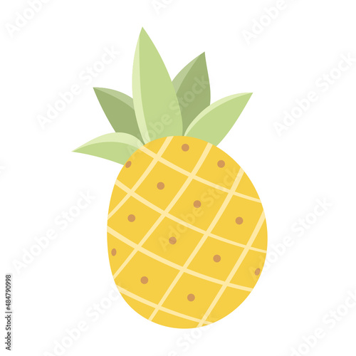 Pineapple flat icon