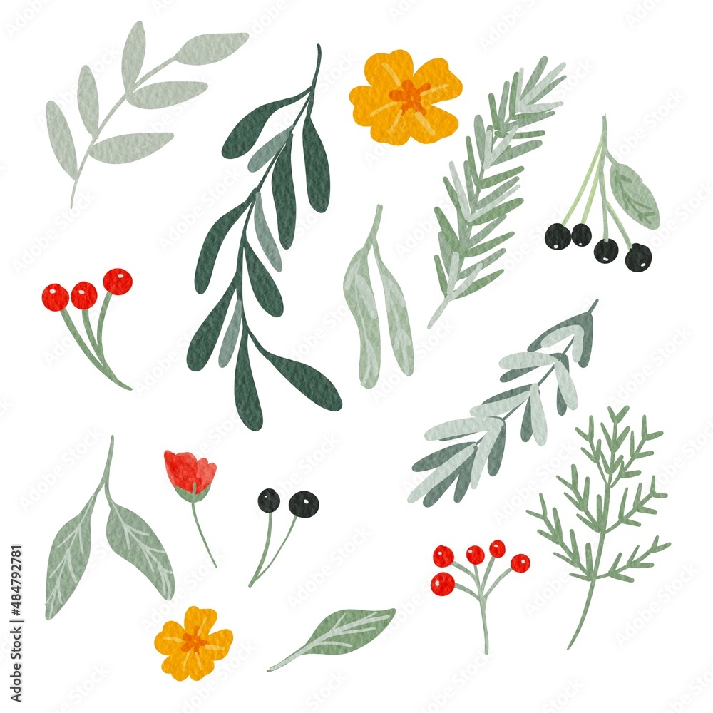 Set of branches with flowers and leaves.illustrations. Set of branches with flowers and leaves.illustrations.