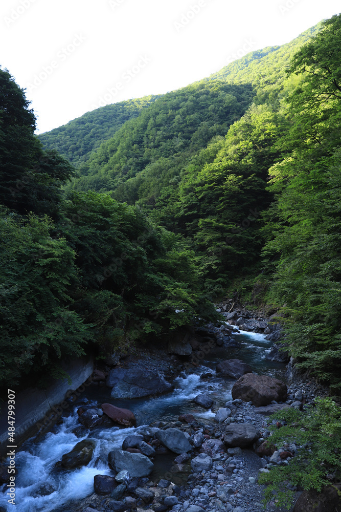 river in the mountains river in the mountains