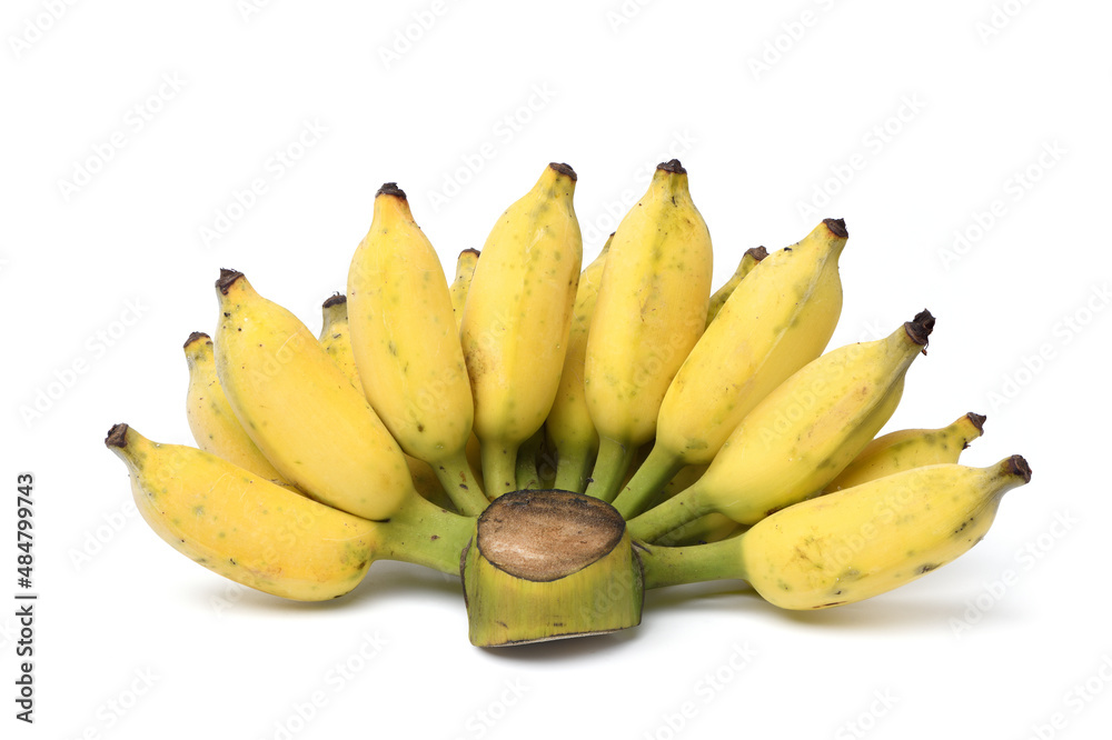 Ripe yellow Cultivated banana (Kluai namwa) isolated on white background. Clipping path.