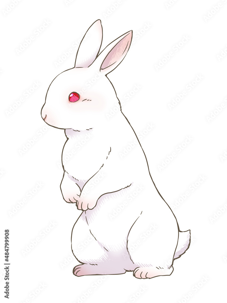 Obraz premium 白うさぎのイラスト_年賀状・卯・イースター