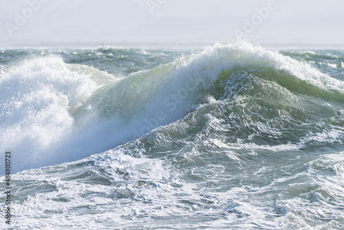 Ocean wave forming and crashing