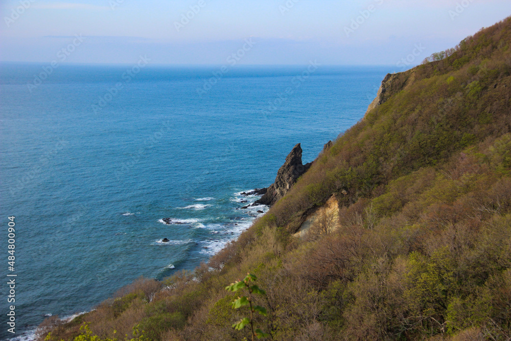 海を望む崖

