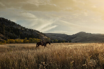 Rideaux Beige Wyoming Cowgirl  © Terri Cage 