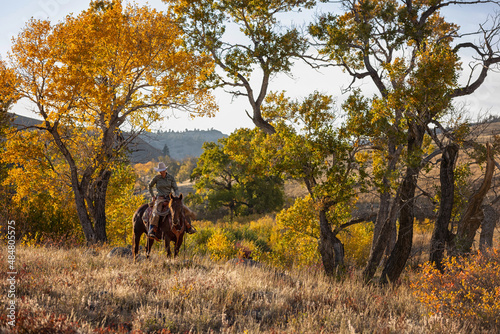 Wyoming Cowgirl © Terri Cage 
