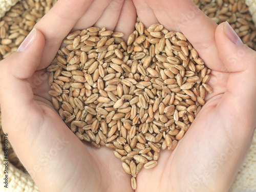 wheat heart © PaulDaniel