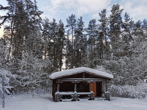 A dark one-story wooden house - a round log bathhouse in the snow among snow-covered trees on a cold clear day.