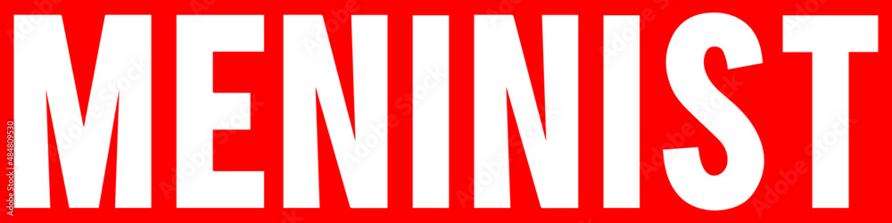Meninist. Fighting For Men Right. T-shirt design for men. Meninist. Fighting For Men Right. T-shirt design for men.