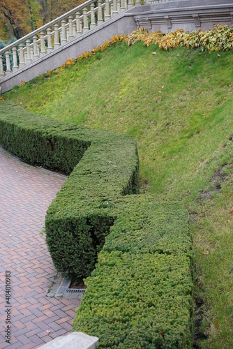 path in the garden