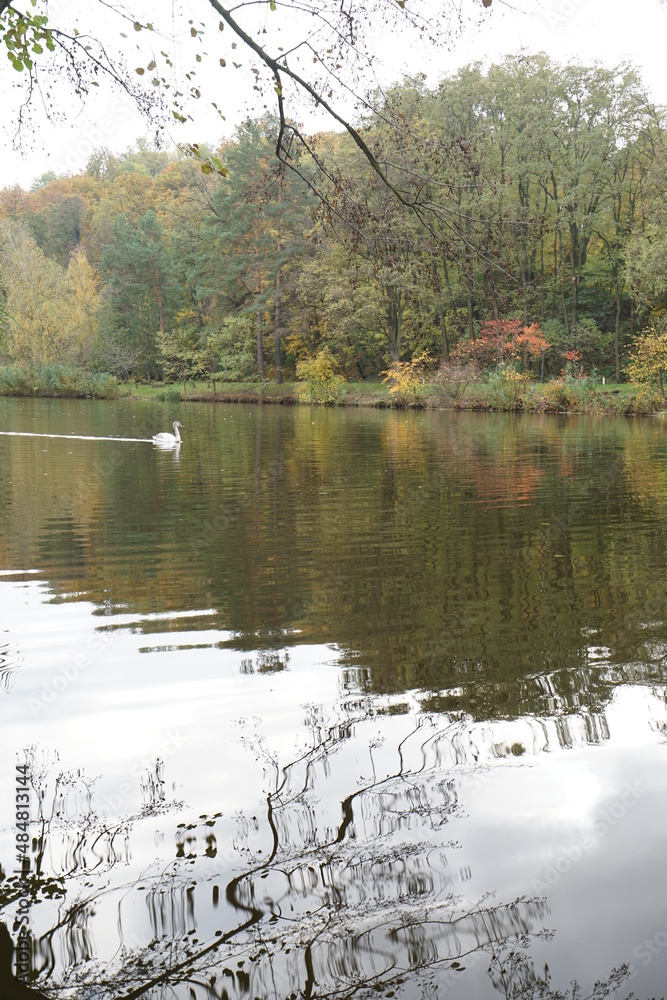 autumn in the park