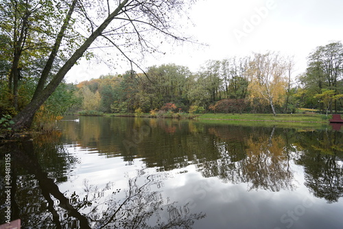 lake in the park