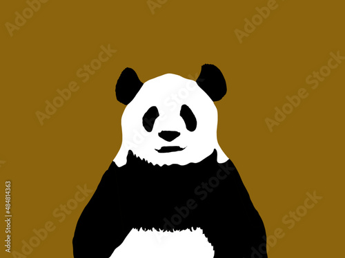 panda bear vector