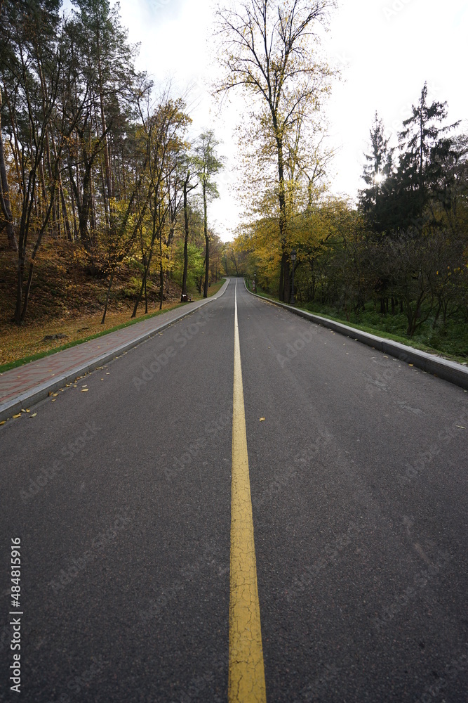 road in the woods