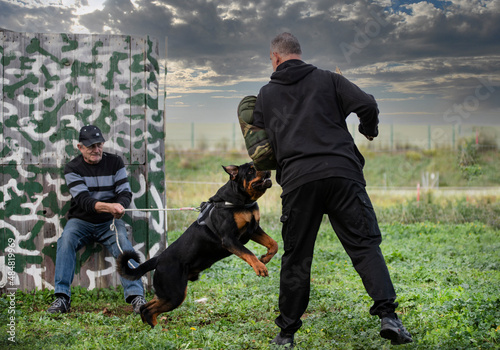 training of puppy rottweiler