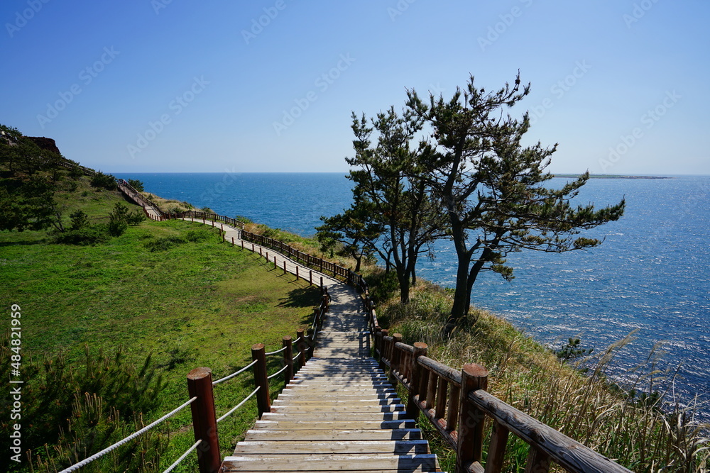 wonderful seascape with pine trees