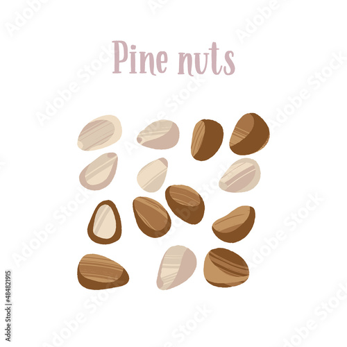 Healthy nutrition product. Pine nuts, shelled and peeled.