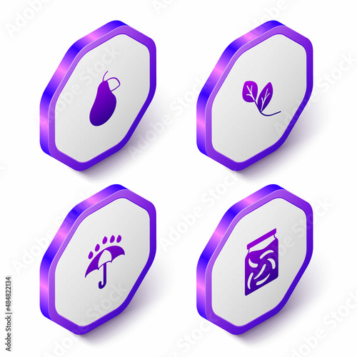 Set Isometric Pear, Leaf, Umbrella and rain drops and Pickled cucumbers jar icon. Purple hexagon button. Vector