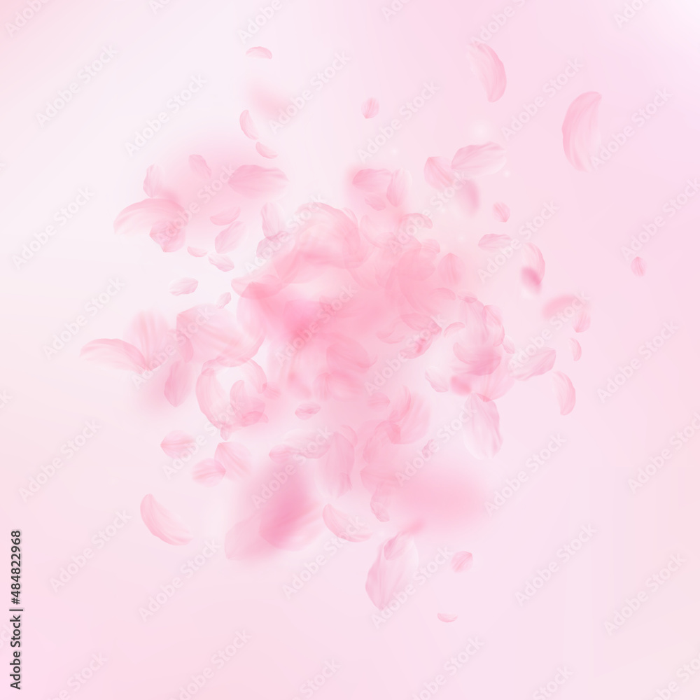 Sakura petals falling down. Romantic pink flowers explosion. Flying petals on pink square background. Love, romance concept. Enchanting wedding invitation.