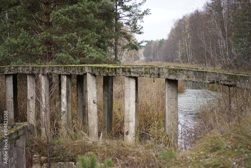 wooden bridge in the forest