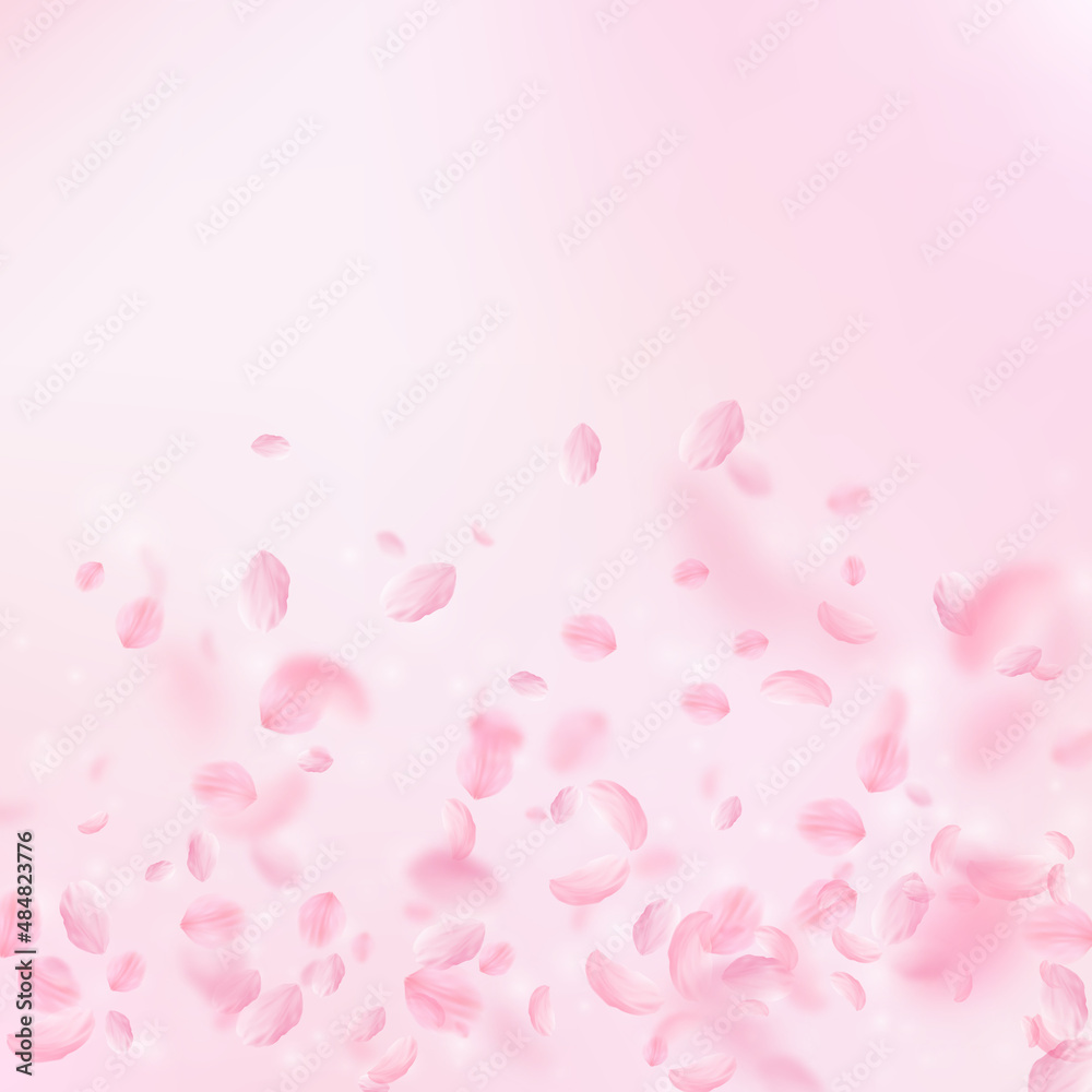 Sakura petals falling down. Romantic pink flowers gradient. Flying petals on pink square background. Love, romance concept. Stylish wedding invitation.