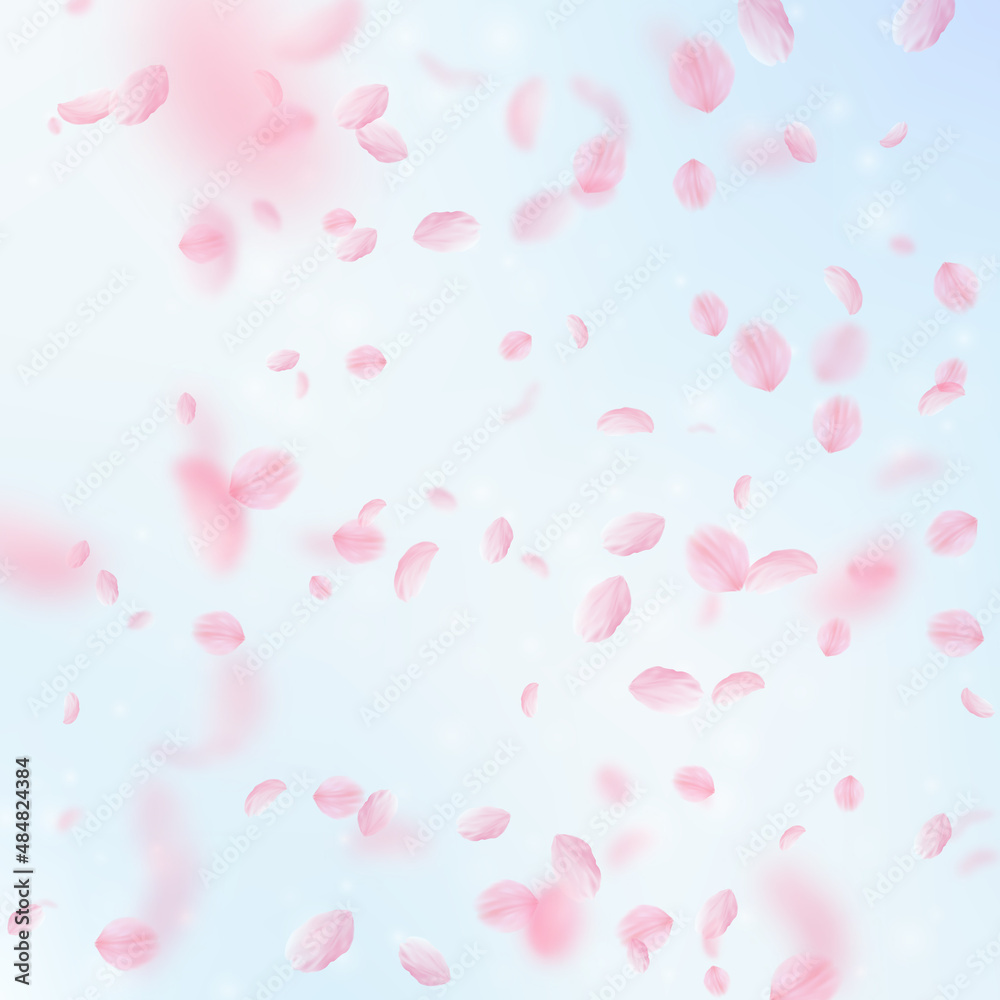 Sakura petals falling down. Romantic pink flowers falling rain. Flying petals on blue sky square background. Love, romance concept. Likable wedding invitation.