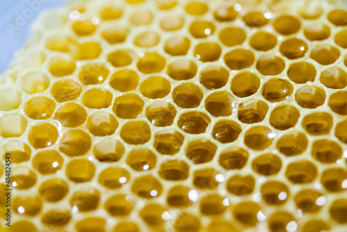 Natural comb of raw honey