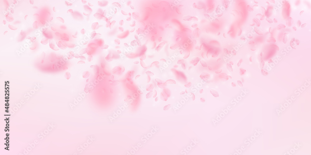 Sakura petals falling down. Romantic pink flowers semicircle. Flying petals on pink wide background. Love, romance concept. Quaint wedding invitation.